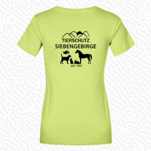 Damen Premium T-Shirt in verschiedenen Farben